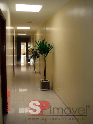 Sala-Conjunto, 380 m² - Foto 4