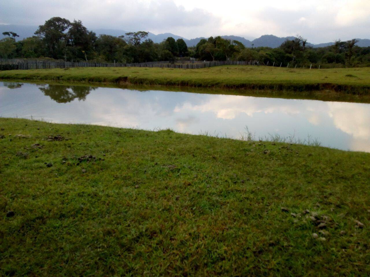 Sítio, 3 quartos, 2 hectares - Foto 10