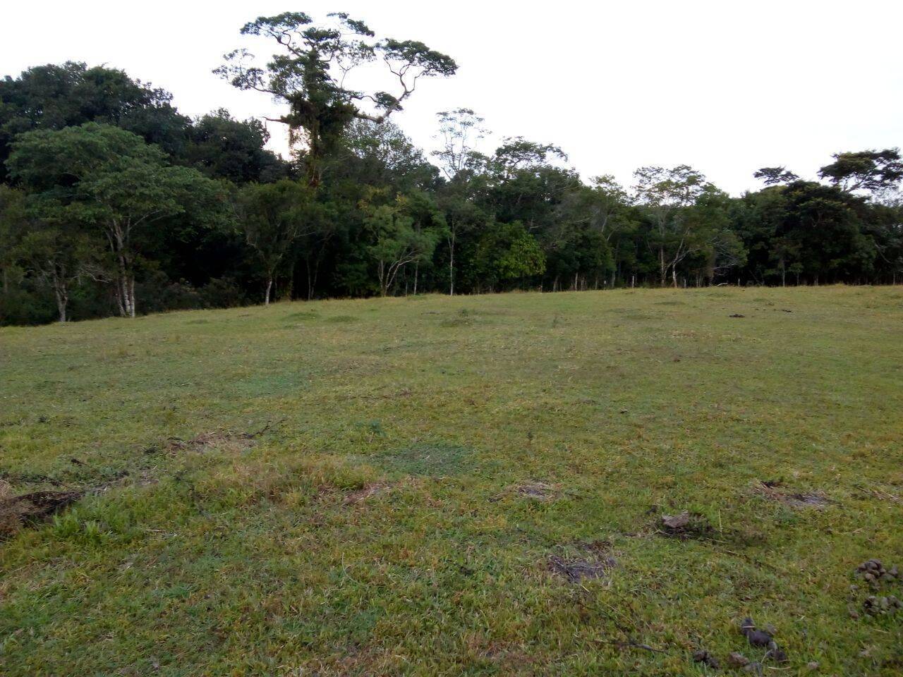 Sítio, 3 quartos, 2 hectares - Foto 16