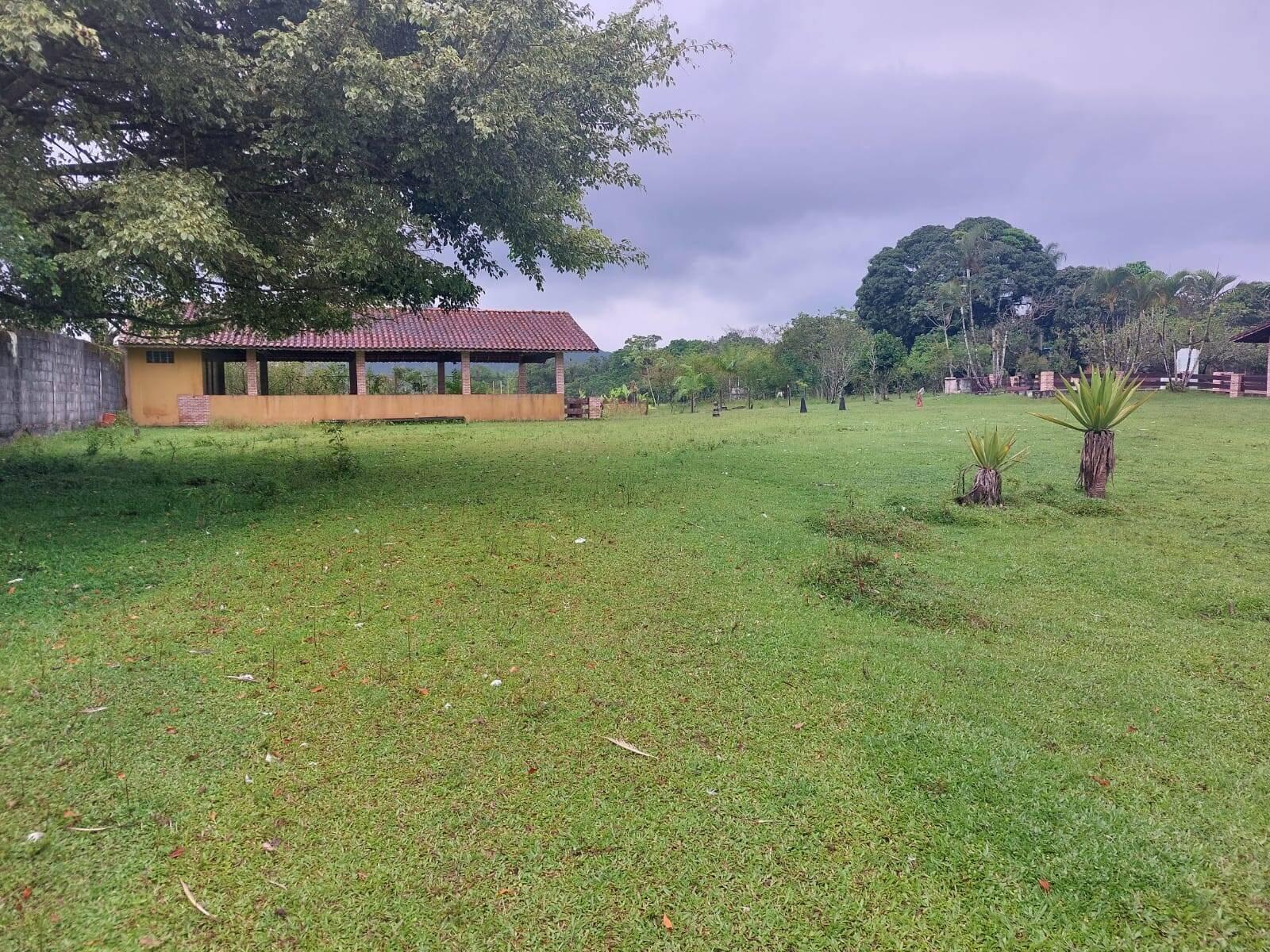 Sítio, 3 quartos, 2 hectares - Foto 30