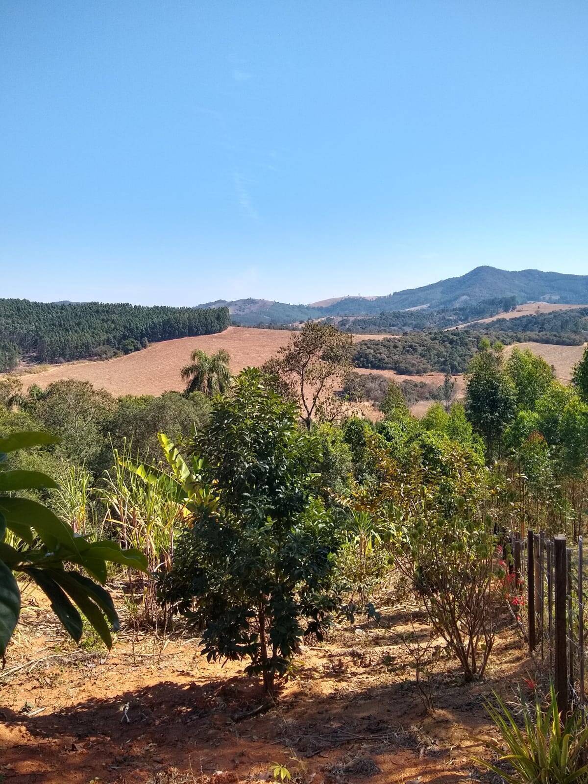 Sítio, 2 quartos, 3000 m² - Foto 12