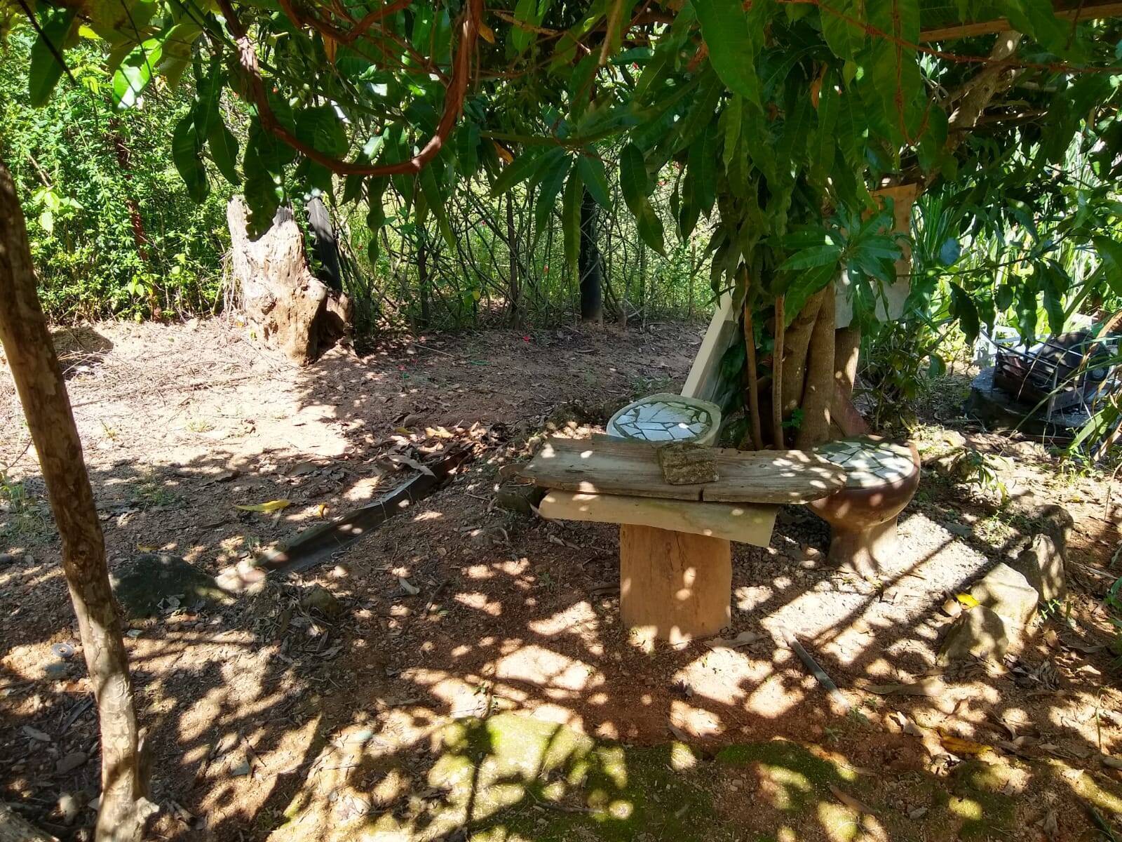 Sítio, 2 quartos, 3000 m² - Foto 13