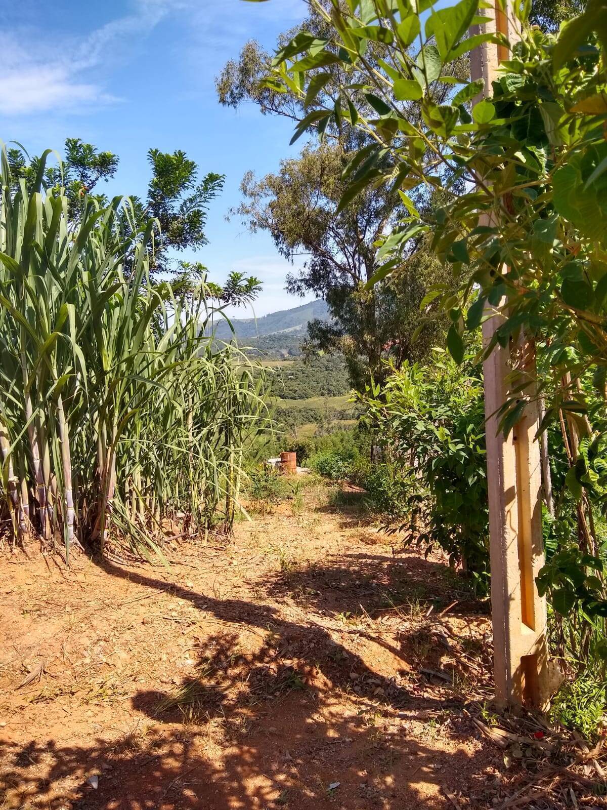 Sítio, 2 quartos, 3000 m² - Foto 16
