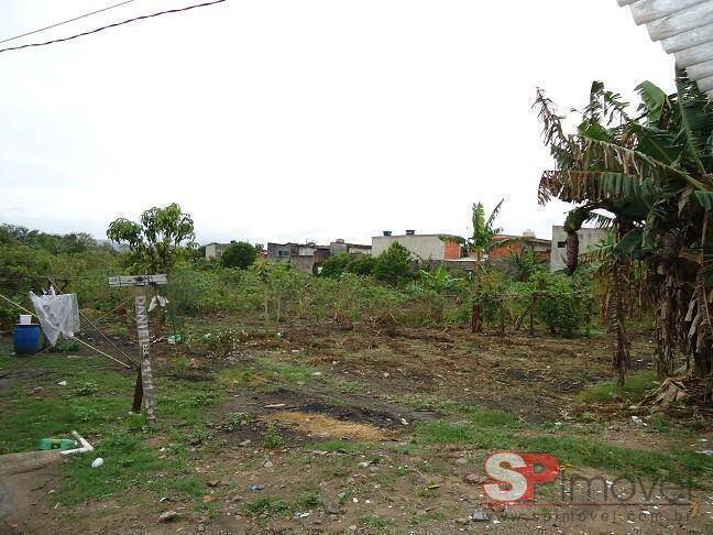 Terreno, 6000 m² - Foto 3