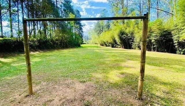 Terreno, 8 hectares - Foto 3