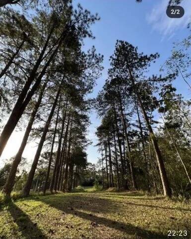 Terreno, 8 hectares - Foto 4
