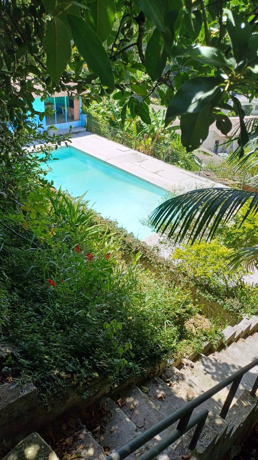 Sítio, 3 quartos, 1600 m² - Foto 10
