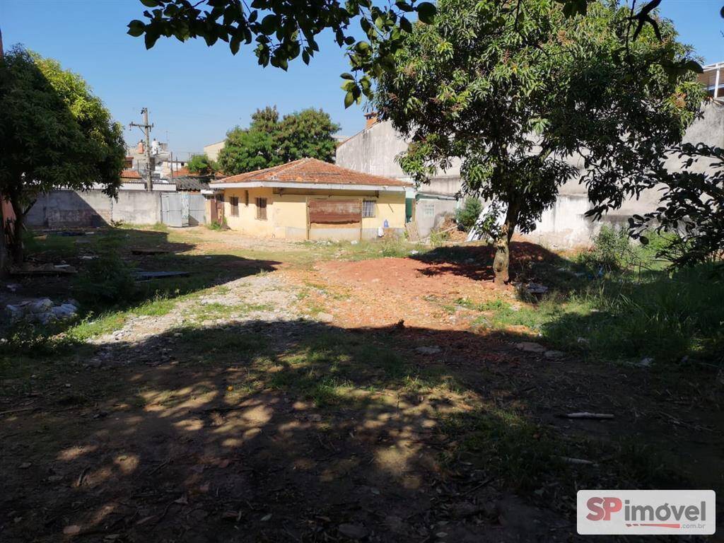 Terreno, 1500 m² - Foto 6