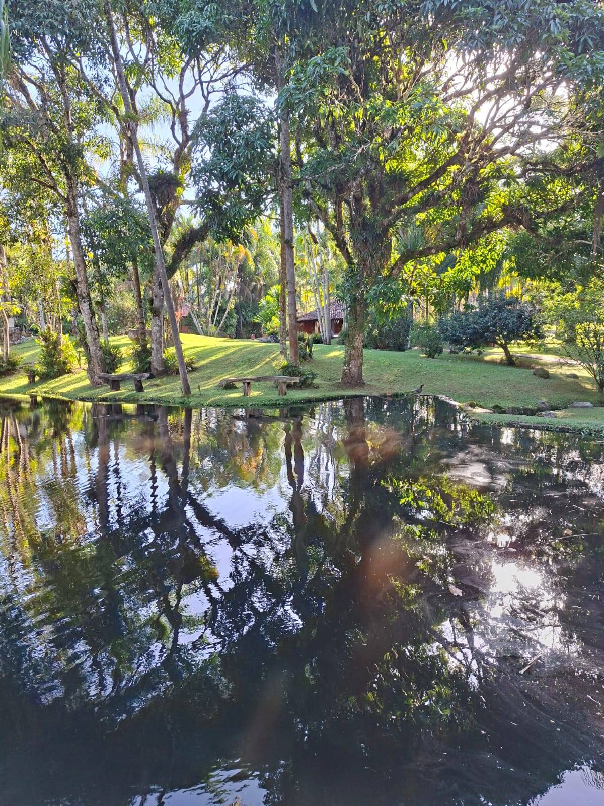 Terreno, 1 hectares - Foto 10