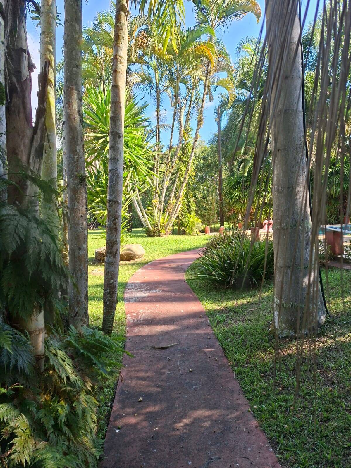Terreno, 1 hectares - Foto 15