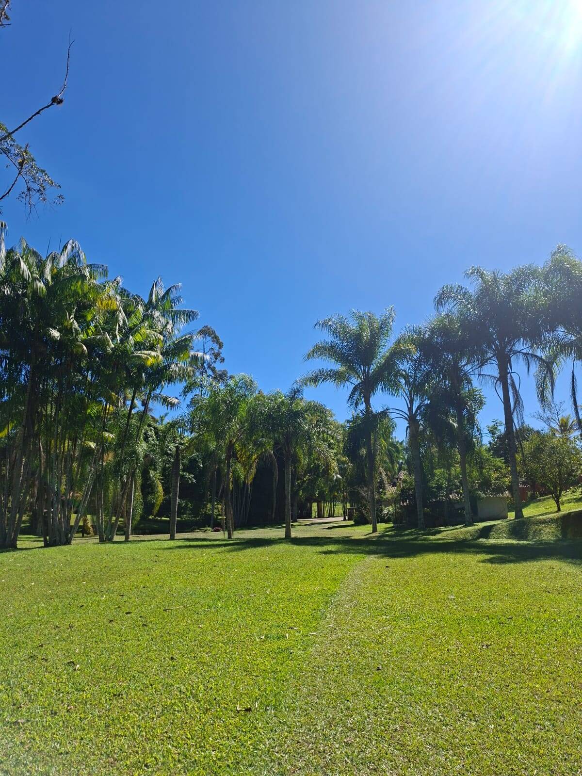 Terreno, 1 hectares - Foto 16