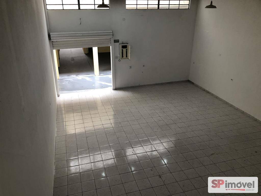 Sala-Conjunto - Foto 10