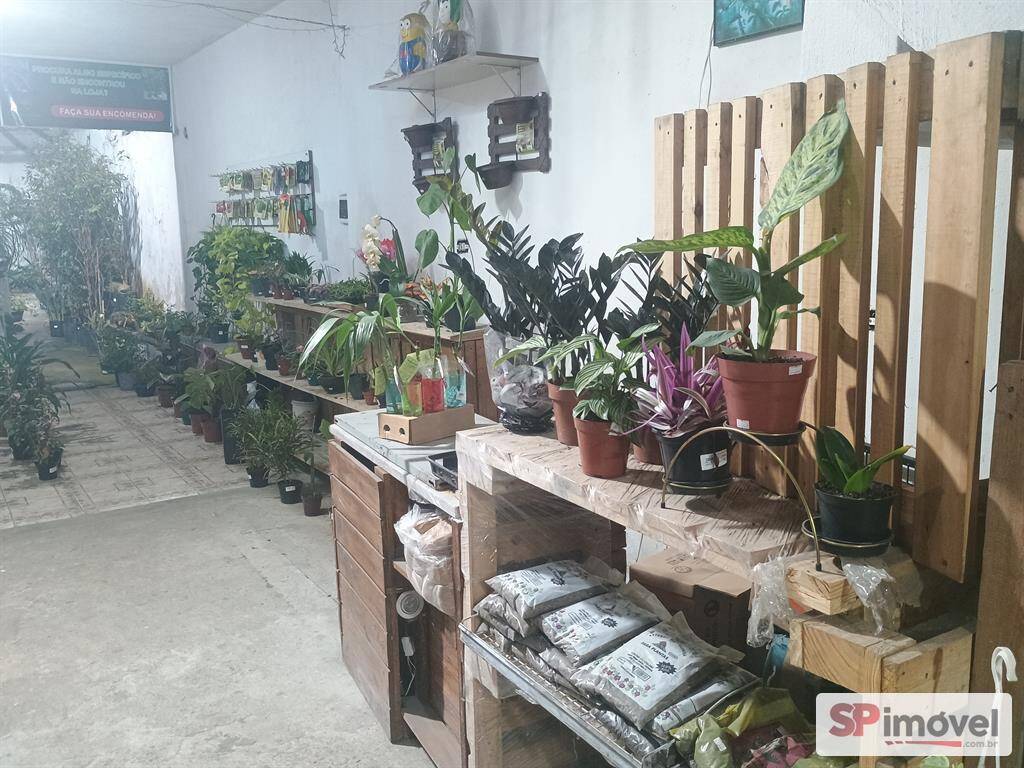 Sala-Conjunto - Foto 8