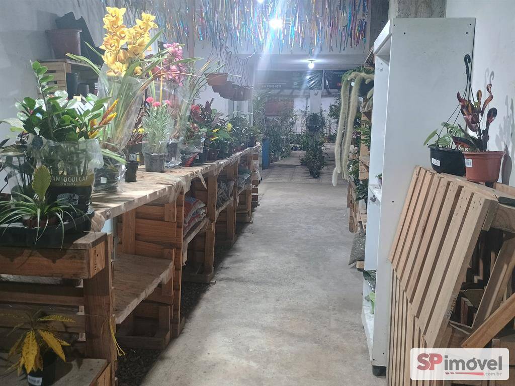 Sala-Conjunto - Foto 10
