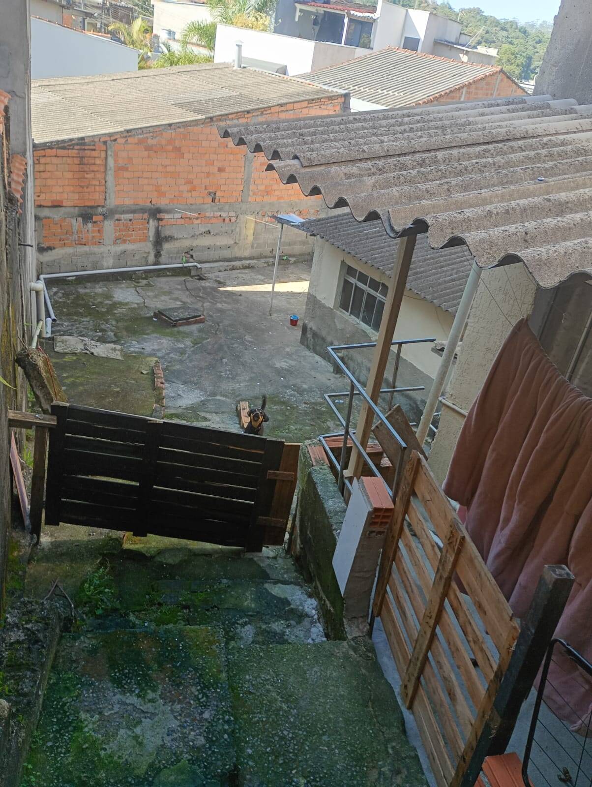Casa, 7 quartos - Foto 5