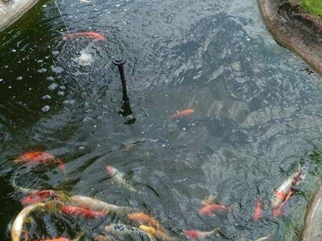 Casa para Venda em Piracaia - 5
