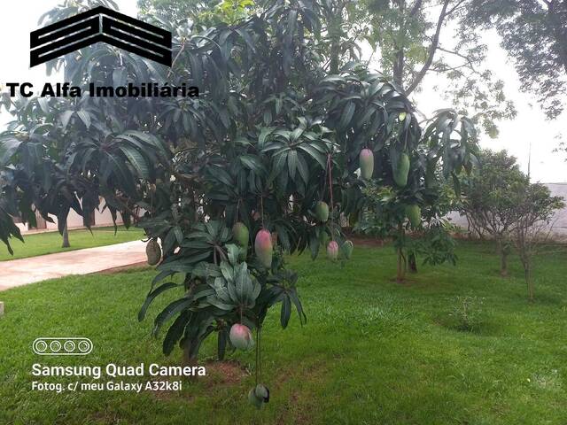 Chácara para Venda em Guarulhos - 5