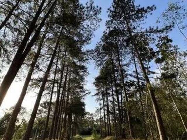 #313 - Área para Venda em Guarulhos - SP - 2