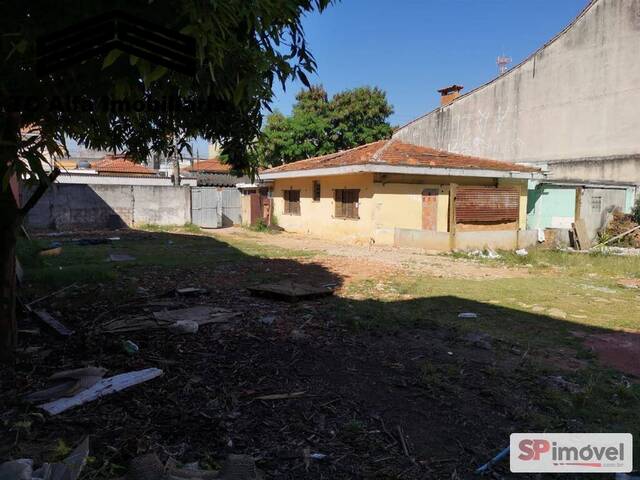 Área para Venda em São Paulo - 4