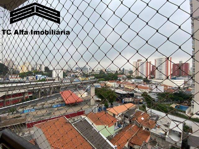 Apartamento para Locação em São Paulo - 4