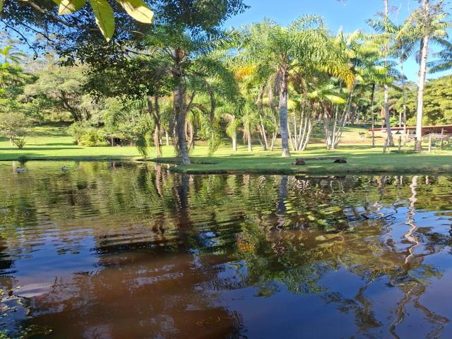 #549 - Chácara para Venda em Peruíbe - SP - 2