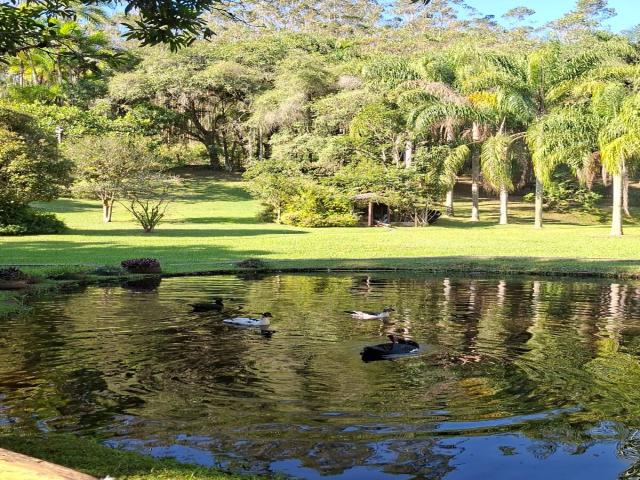 #549 - Chácara para Venda em Peruíbe - SP - 3